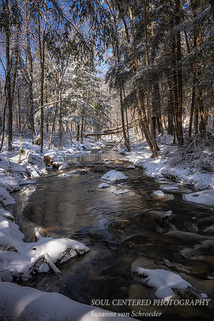 Snowy creek in early spring, '25 5