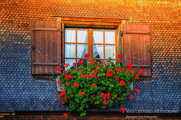 Window with flower box