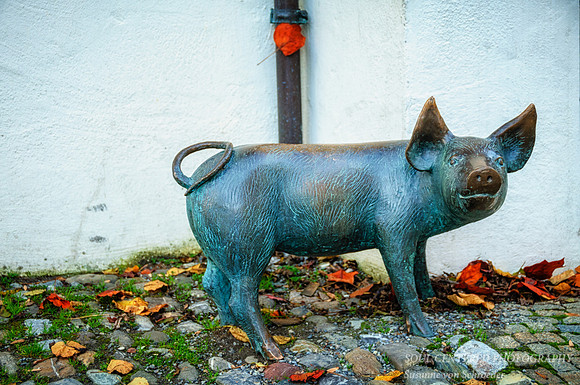 Pig statue