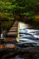 _DSC0704a
