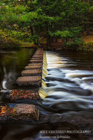 _DSC0704a