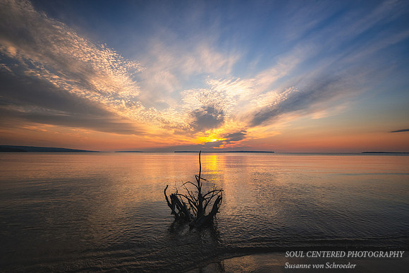 Morning colors with driftwood, Lake Superior near Bayfield