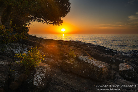 Sunrise with Cedar tree, Lake Superior, Oct. '23