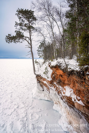 Pine tree and ice cave, Lake Superior