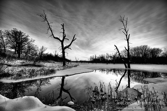 Winter, Kasota prairie 2