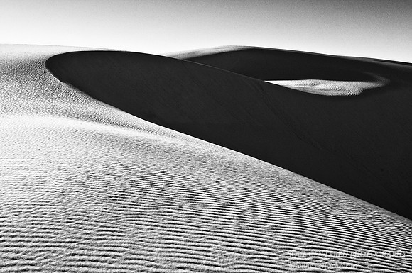 Dune curves bw