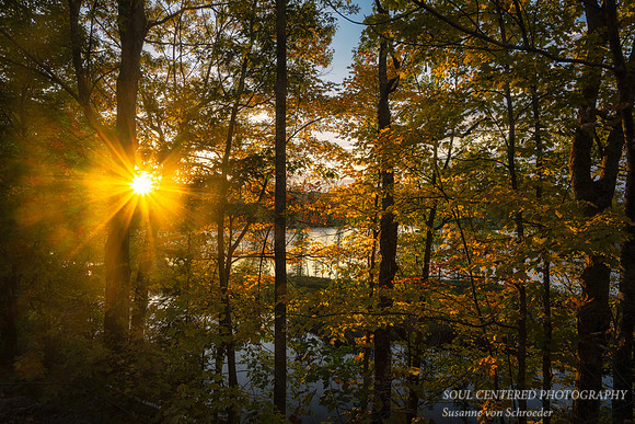 Sunset in trees at Audie Lake, 9.29.'22