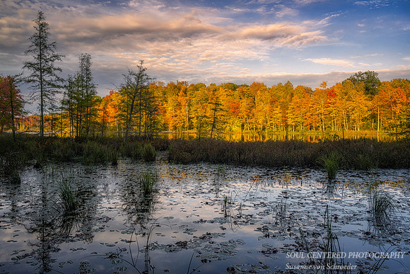 Fall colors at sunset, Perch Lake 4, 10.2.'22