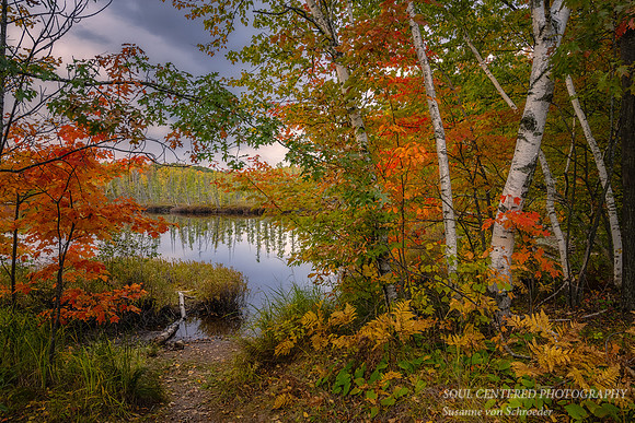 Fall colors, Audie Lake, 10.2.'22