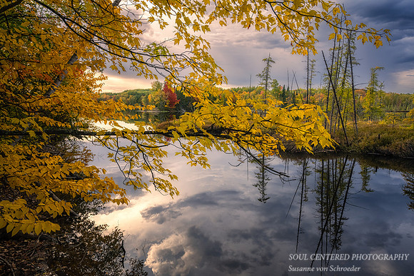 Golden Fall colors, Audie Lake, 10.2.'22