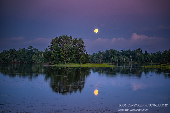 August full moon rising, Chippewa Flowage, '25 3