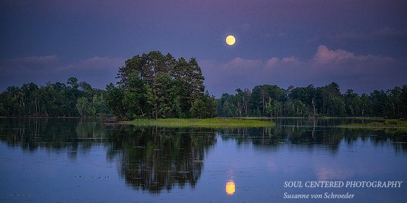 August full moon rising, Chippewa Flowage, '25 3, panorama
