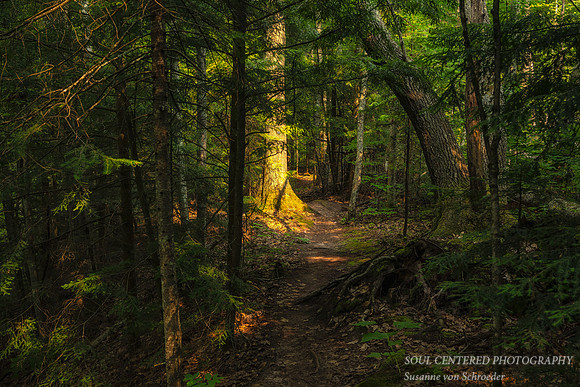 Pathway, Frog Bay Tribal National Park, WI