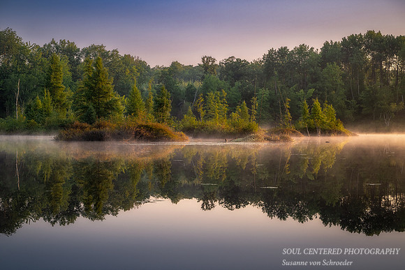 Bog in morning fog, Audie Lake, August '25