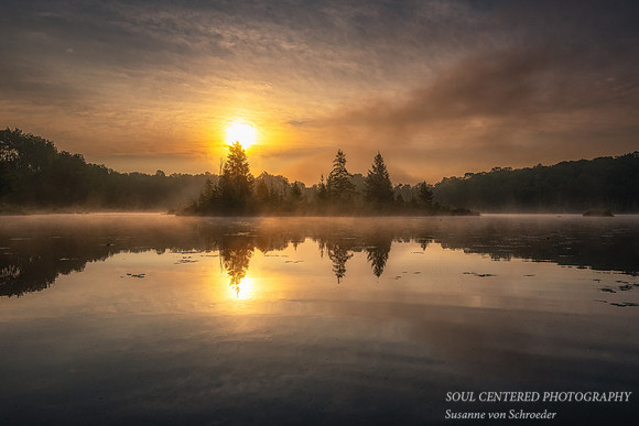 Sunrise on a misty morning, Audie Lake, August '25 1