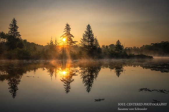 Sunrise behind a bog, Audie Lake, July '24