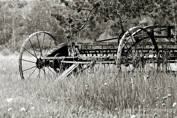 Old rake