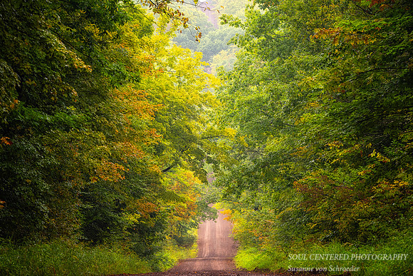 Foggy morning drive through the Blue Hills, Sept. '25