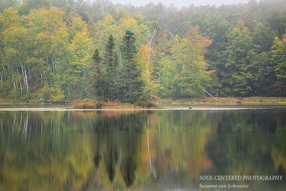 Foggy morning, Audie Lake, Sept. '25 2