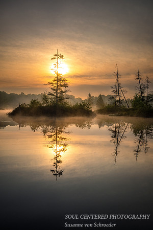 Sunrise on a misty morning, Audie Lake, August '25 4
