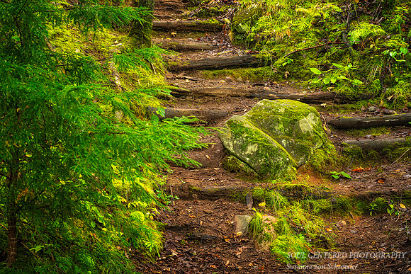 Mossy rock and steps at Audie Lake
