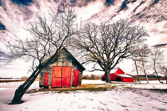 Barn at Ney Center, MN