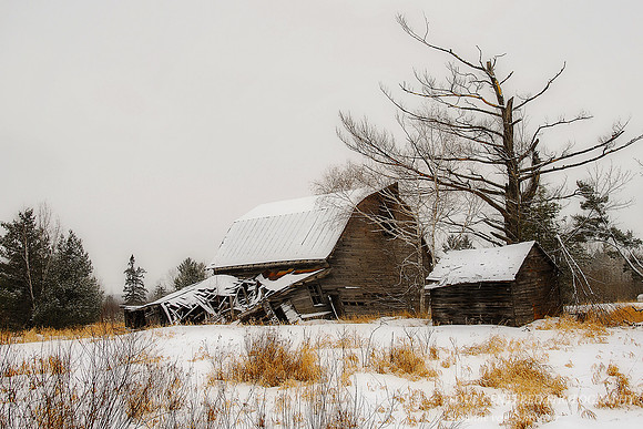 Barn off Hwy 8, winter