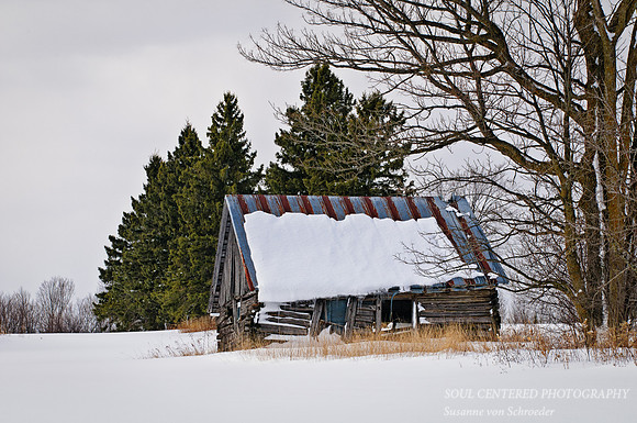 Barn on M, winter