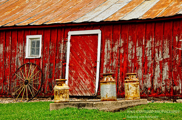 Barn Red, MN milk cans