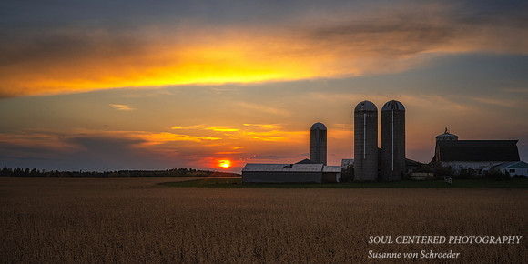 Wisconsin farm at sunset 2