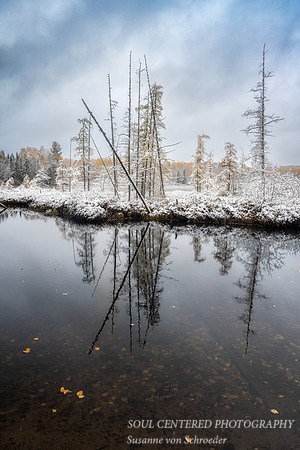 First snow, Oct. 14.'22, Audie Lake reflections 1