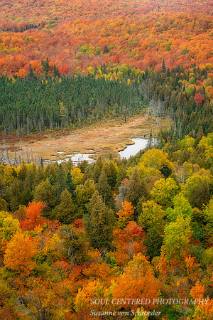 Autumn scene at Oberg Mtn., Oberg Lake, 2022 2