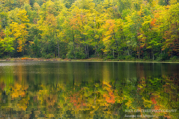 Foggy morning, reflections at Perch Lake, Sept. '25