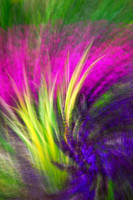 Flower painting