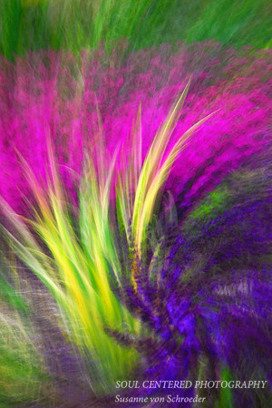 Flower painting
