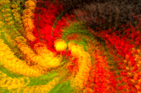 Flowers Swirl