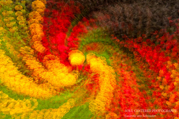 Flowers Swirl