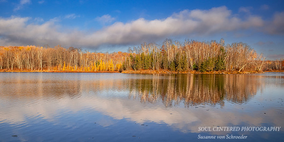 Tamaracks and reflections, Audie Lake, late October. '25 3, panorama