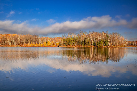 Tamaracks and reflections, Audie Lake, late October. '25 3