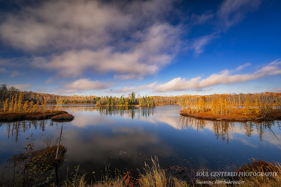 Tamaracks and reflections, Audie Lake, late October. '25 4