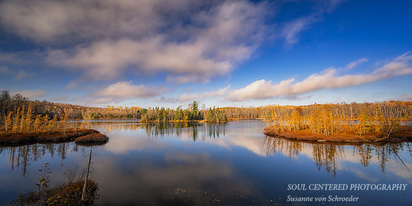 Tamaracks and reflections, Audie Lake, late October. '25 4, panorama