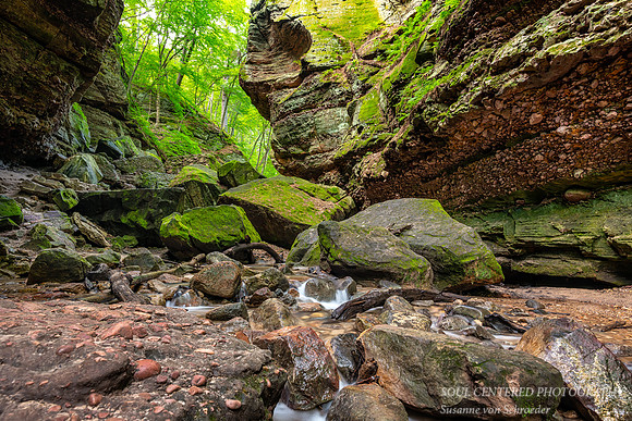 _DSC2904a