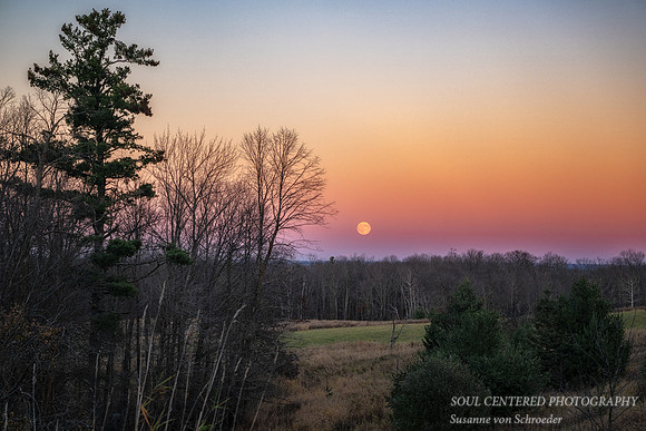 November Super Full moon, Blue Hills, '25 3