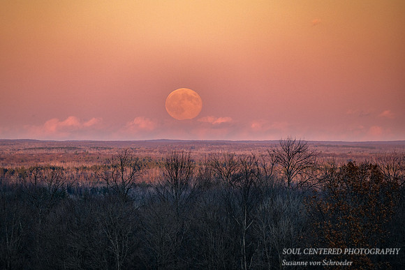 November Super Full moon, Blue Hills, '25 2