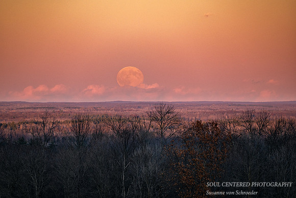 November Super Full moon, Blue Hills, '25 1