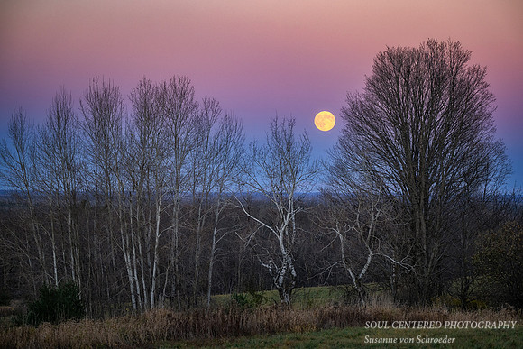 November Super Full moon, Blue Hills, '25 4