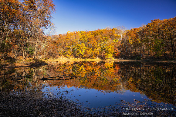 Late Fall colors, reflections, '25 2