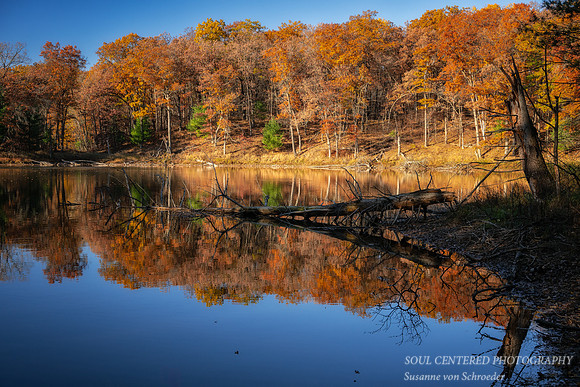 Late Fall colors, reflections, '25 3