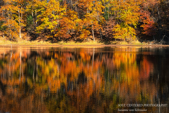 Late Fall colors, reflections, '25 1