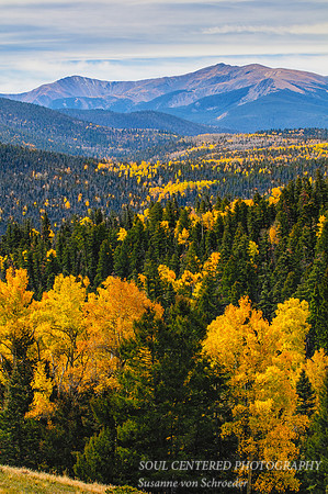 Wheeler Peak 2